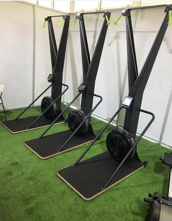 Лыжный тренажер Insight Fitness XF02