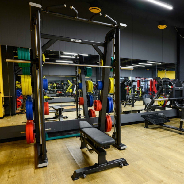 Диск обрезиненный FASSION цветной D51 мм PROFI-FIT