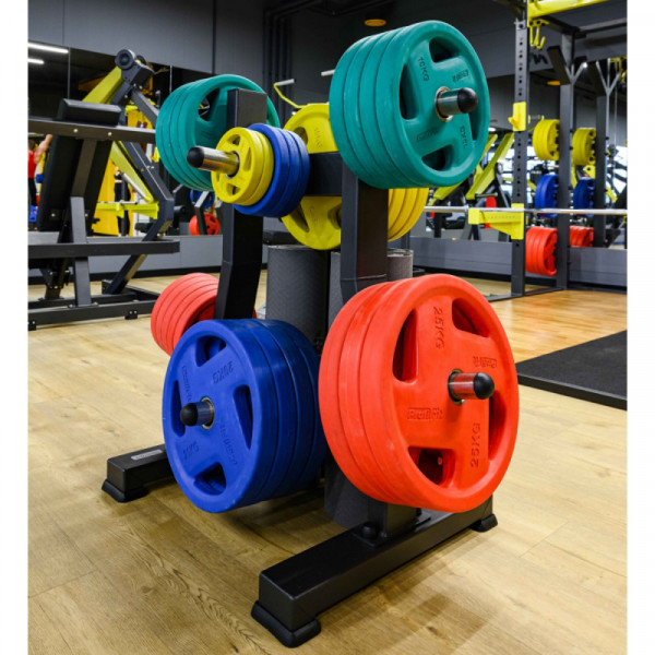 Диск обрезиненный FASSION цветной D51 мм PROFI-FIT