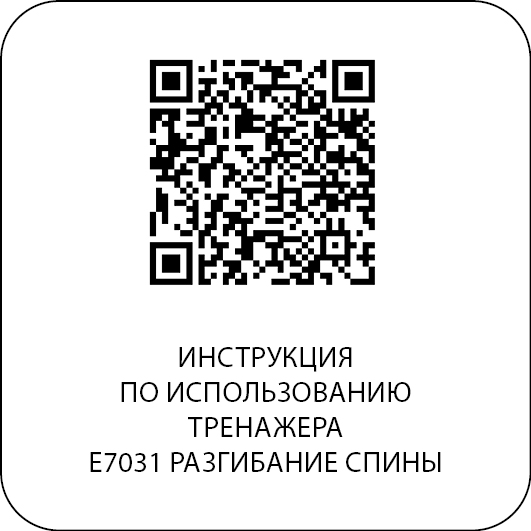 Разгибание спины. DHZ E7031 (Стек 110 кг)