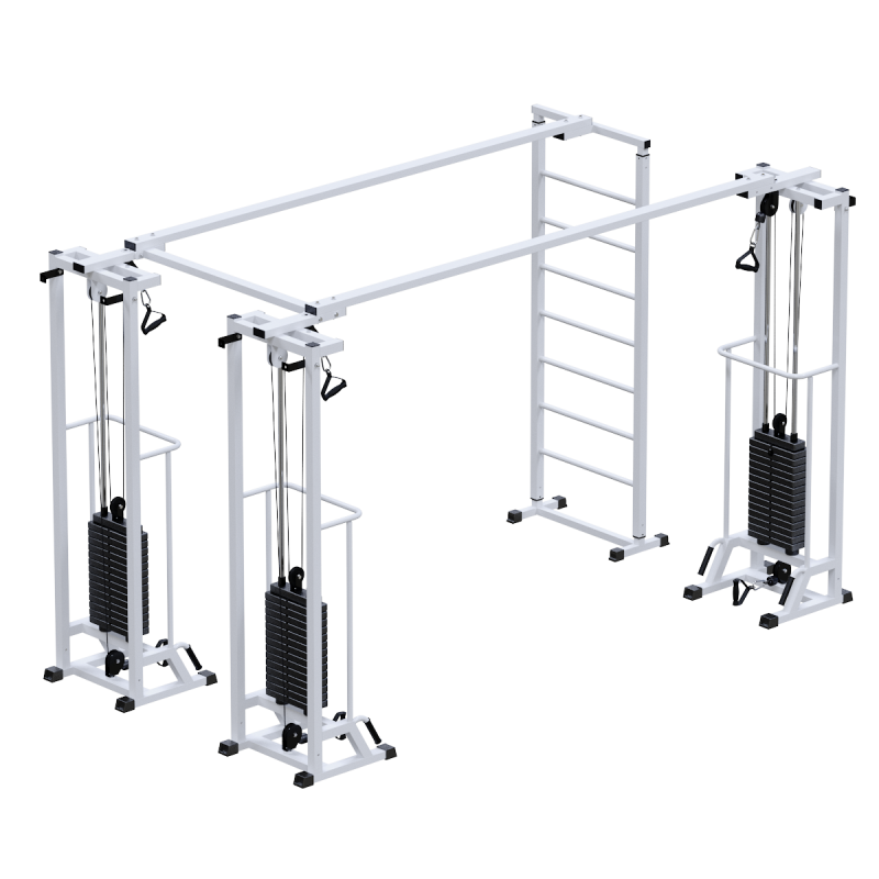 Биотонус-3+шведская стенка (стек 3х75кг) h 2,2 м