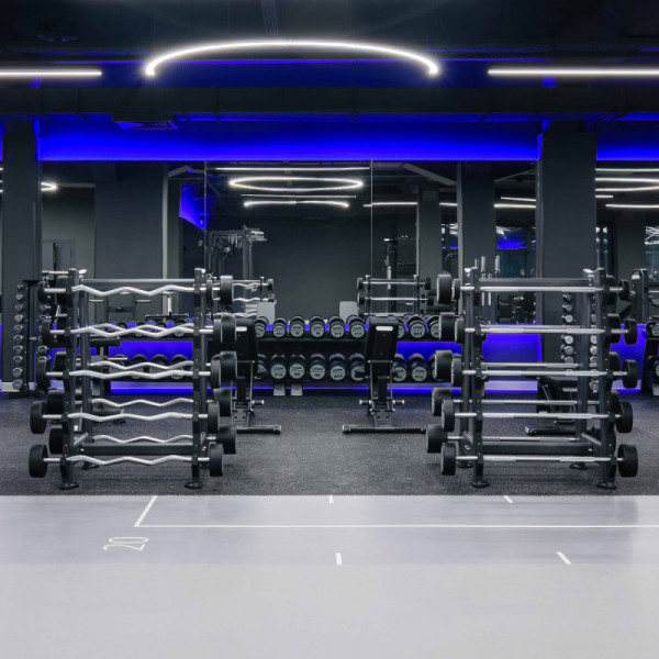 Набор изогнутых полиуретановых штанг (шаг 5 кг, 5 шт) 10-30 кг PROFI-FIT