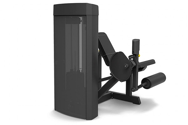 Разгибание ног сидя SPIRIT SP-4305