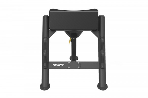 Скамья скотта SPIRIT SP-4206